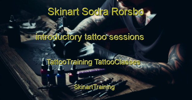 Skinart Sodra Rorsbo introductory tattoo sessions | #TattooTraining #TattooClasses #SkinartTraining-Sweden