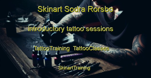 Skinart Sodra Rorsbo introductory tattoo sessions | TattooTraining | TattooClasses | SkinartTraining-Sweden