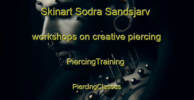 Skinart Sodra Sandsjarv workshops on creative piercing | #PiercingTraining #PiercingClasses #SkinartTraining-Sweden