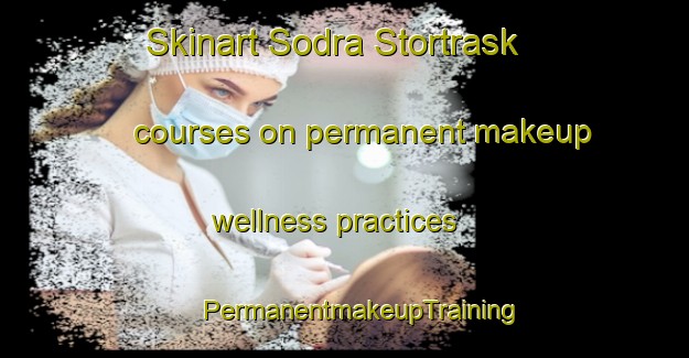 Skinart Sodra Stortrask courses on permanent makeup wellness practices | #PermanentmakeupTraining #PermanentmakeupClasses #SkinartTraining-Sweden