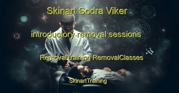 Skinart Sodra Viker introductory removal sessions | #RemovalTraining #RemovalClasses #SkinartTraining-Sweden