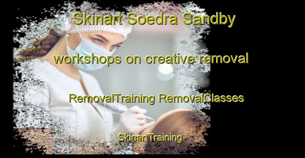 Skinart Soedra Sandby workshops on creative removal | #RemovalTraining #RemovalClasses #SkinartTraining-Sweden