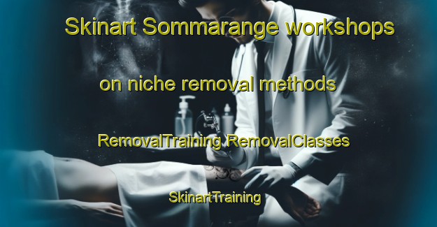 Skinart Sommarange workshops on niche removal methods | #RemovalTraining #RemovalClasses #SkinartTraining-Sweden