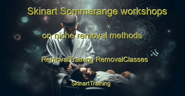 Skinart Sommarange workshops on niche removal methods | #RemovalTraining #RemovalClasses #SkinartTraining-Sweden