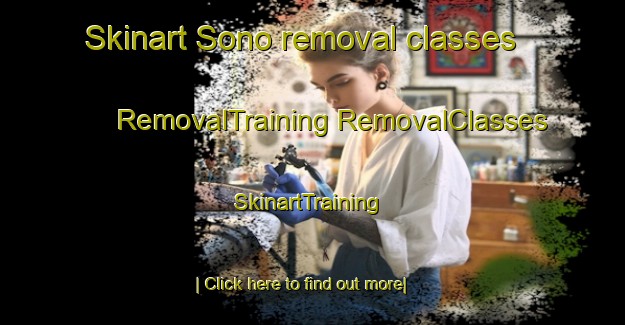 Skinart Sono removal classes | #RemovalTraining #RemovalClasses #SkinartTraining-Sweden