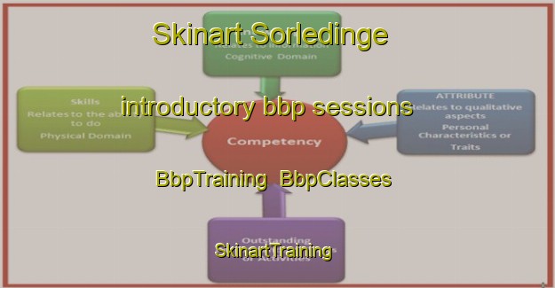Skinart Sorledinge introductory bbp sessions | BbpTraining | BbpClasses | SkinartTraining-Sweden