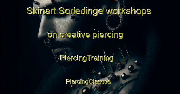Skinart Sorledinge workshops on creative piercing | PiercingTraining | PiercingClasses | SkinartTraining-Sweden