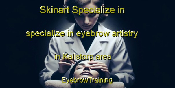 Skinart Specialize in specialize in eyebrow artistry in Kallstorp area | EyebrowTraining | EyebrowClasses | SkinartTraining-Sweden