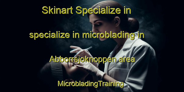 Skinart Specialize in specialize in microblading in Abborrsjoknoppen area | #MicrobladingTraining #MicrobladingClasses #SkinartTraining-Sweden