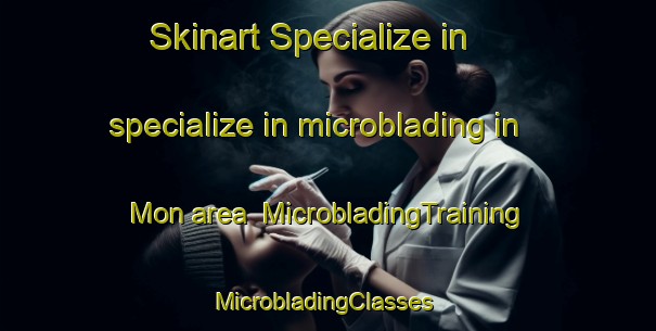 Skinart Specialize in specialize in microblading in Mon area | MicrobladingTraining | MicrobladingClasses | SkinartTraining-Sweden