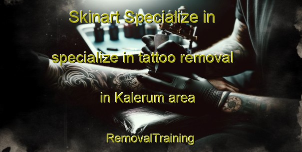 Skinart Specialize in specialize in tattoo removal in Kalerum area | RemovalTraining | RemovalClasses | SkinartTraining-Sweden