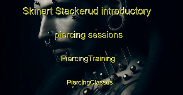 Skinart Stackerud introductory piercing sessions | PiercingTraining | PiercingClasses | SkinartTraining-Sweden
