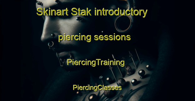 Skinart Stak introductory piercing sessions | #PiercingTraining #PiercingClasses #SkinartTraining-Sweden