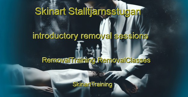 Skinart Stalltjarnsstugan introductory removal sessions | #RemovalTraining #RemovalClasses #SkinartTraining-Sweden