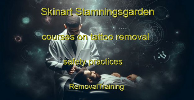 Skinart Stamningsgarden courses on tattoo removal safety practices | RemovalTraining | RemovalClasses | SkinartTraining-Sweden
