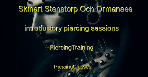 Skinart Stanstorp Och Ormanaes introductory piercing sessions | PiercingTraining | PiercingClasses | SkinartTraining-Sweden
