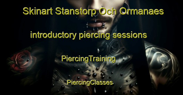 Skinart Stanstorp Och Ormanaes introductory piercing sessions | PiercingTraining | PiercingClasses | SkinartTraining-Sweden