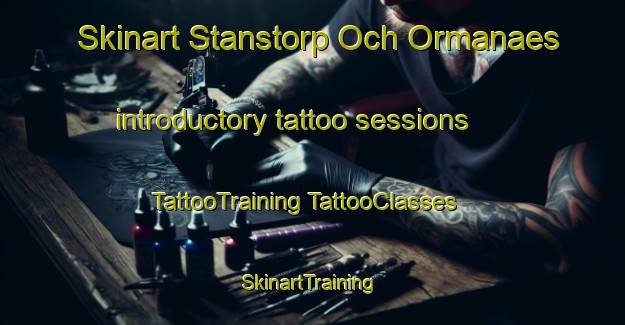 Skinart Stanstorp Och Ormanaes introductory tattoo sessions | #TattooTraining #TattooClasses #SkinartTraining-Sweden