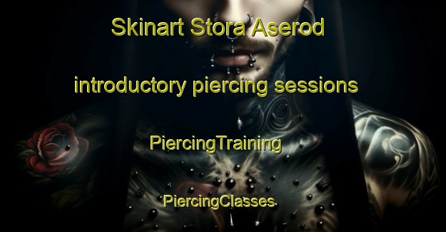 Skinart Stora Aserod introductory piercing sessions | PiercingTraining | PiercingClasses | SkinartTraining-Sweden