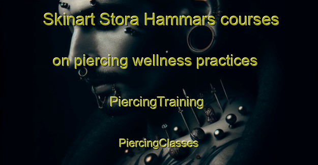 Skinart Stora Hammars courses on piercing wellness practices | #PiercingTraining #PiercingClasses #SkinartTraining-Sweden