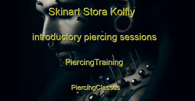 Skinart Stora Kolfly introductory piercing sessions | PiercingTraining | PiercingClasses | SkinartTraining-Sweden