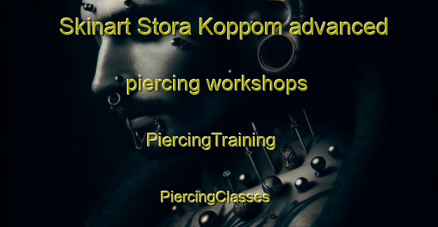 Skinart Stora Koppom advanced piercing workshops | PiercingTraining | PiercingClasses | SkinartTraining-Sweden