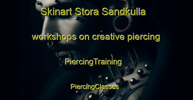 Skinart Stora Sandkulla workshops on creative piercing | PiercingTraining | PiercingClasses | SkinartTraining-Sweden
