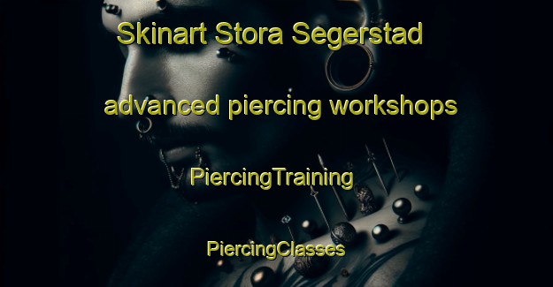 Skinart Stora Segerstad advanced piercing workshops | #PiercingTraining #PiercingClasses #SkinartTraining-Sweden