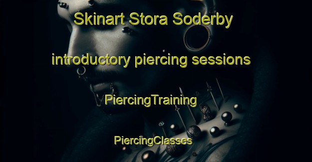 Skinart Stora Soderby introductory piercing sessions | PiercingTraining | PiercingClasses | SkinartTraining-Sweden