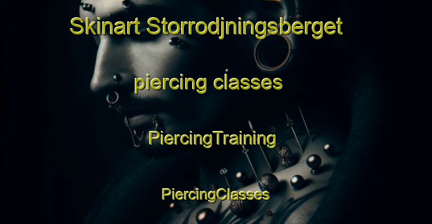 Skinart Storrodjningsberget piercing classes | #PiercingTraining #PiercingClasses #SkinartTraining-Sweden