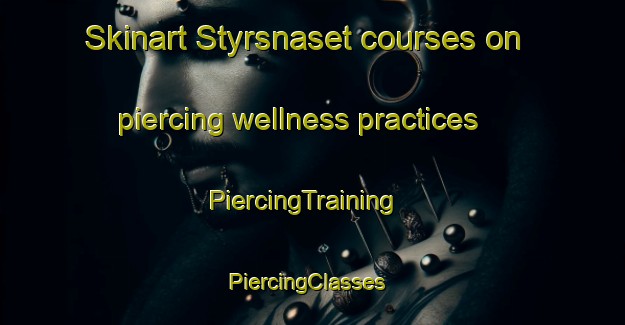 Skinart Styrsnaset courses on piercing wellness practices | PiercingTraining | PiercingClasses | SkinartTraining-Sweden
