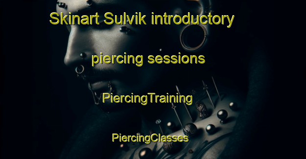 Skinart Sulvik introductory piercing sessions | PiercingTraining | PiercingClasses | SkinartTraining-Sweden