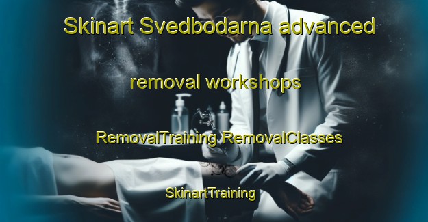 Skinart Svedbodarna advanced removal workshops | #RemovalTraining #RemovalClasses #SkinartTraining-Sweden