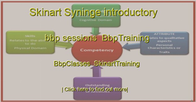 Skinart Syninge introductory bbp sessions | BbpTraining | BbpClasses | SkinartTraining-Sweden