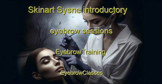 Skinart Sysne introductory eyebrow sessions | EyebrowTraining | EyebrowClasses | SkinartTraining-Sweden