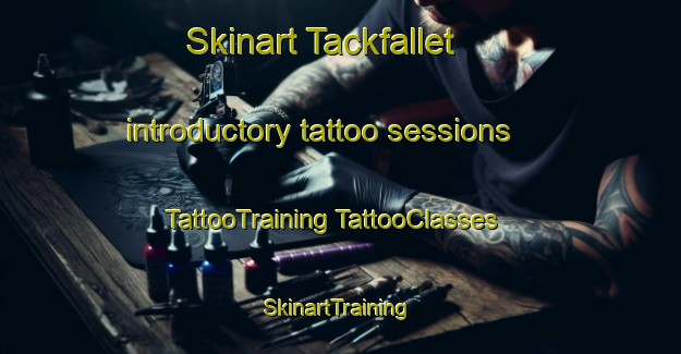 Skinart Tackfallet introductory tattoo sessions | #TattooTraining #TattooClasses #SkinartTraining-Sweden