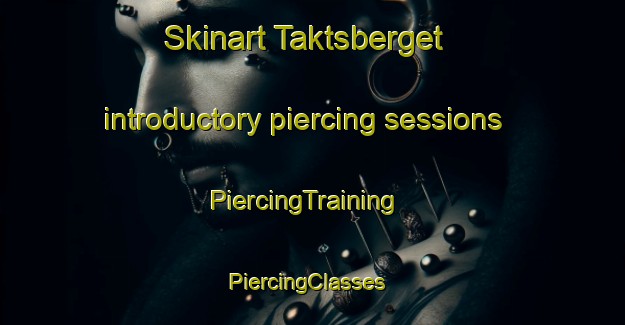 Skinart Taktsberget introductory piercing sessions | PiercingTraining | PiercingClasses | SkinartTraining-Sweden