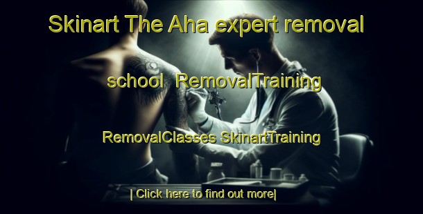 Skinart The Aha expert removal school | #RemovalTraining #RemovalClasses #SkinartTraining-Sweden