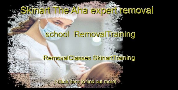 Skinart The Aha expert removal school | #RemovalTraining #RemovalClasses #SkinartTraining-Sweden