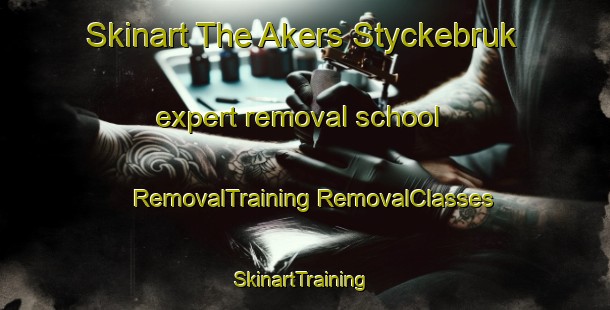 Skinart The Akers Styckebruk expert removal school | #RemovalTraining #RemovalClasses #SkinartTraining-Sweden