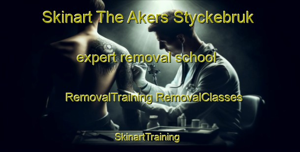 Skinart The Akers Styckebruk expert removal school | #RemovalTraining #RemovalClasses #SkinartTraining-Sweden