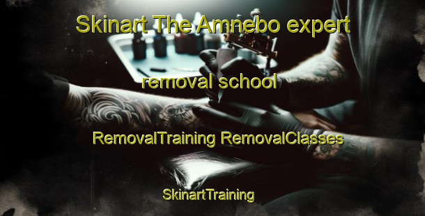 Skinart The Amnebo expert removal school | #RemovalTraining #RemovalClasses #SkinartTraining-Sweden