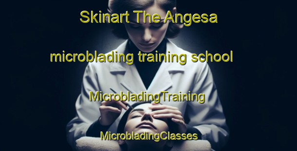 Skinart The Angesa microblading training school | #MicrobladingTraining #MicrobladingClasses #SkinartTraining-Sweden