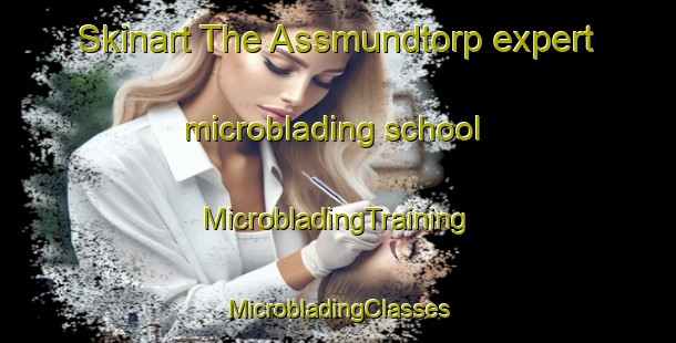 Skinart The Assmundtorp expert microblading school | #MicrobladingTraining #MicrobladingClasses #SkinartTraining-Sweden