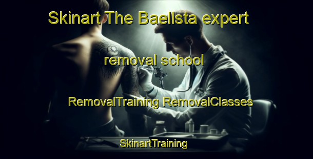 Skinart The Baellsta expert removal school | #RemovalTraining #RemovalClasses #SkinartTraining-Sweden