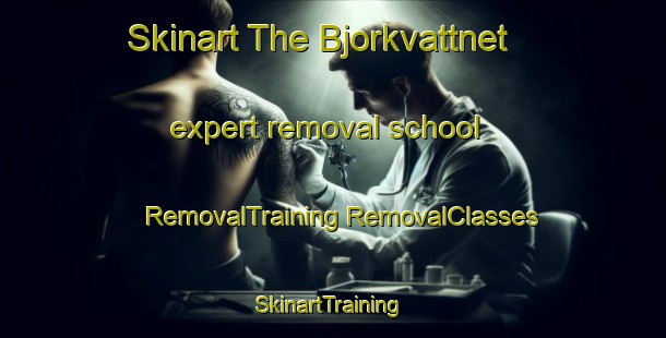 Skinart The Bjorkvattnet expert removal school | #RemovalTraining #RemovalClasses #SkinartTraining-Sweden