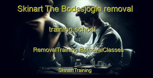 Skinart The Bodasjogle removal training school | #RemovalTraining #RemovalClasses #SkinartTraining-Sweden