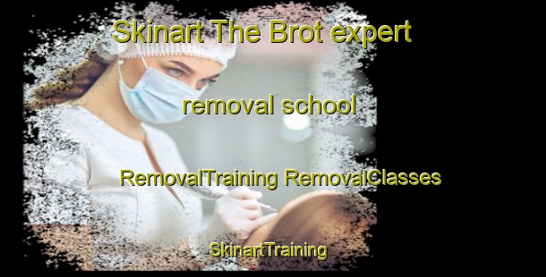 Skinart The Brot expert removal school | #RemovalTraining #RemovalClasses #SkinartTraining-Sweden