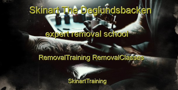 Skinart The Deglundsbacken expert removal school | #RemovalTraining #RemovalClasses #SkinartTraining-Sweden