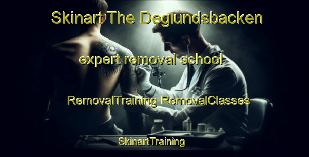 Skinart The Deglundsbacken expert removal school | #RemovalTraining #RemovalClasses #SkinartTraining-Sweden